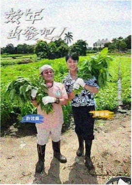 声音旅行团 综艺封面